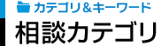 カテゴリ＆キーワード - 相談キーワード